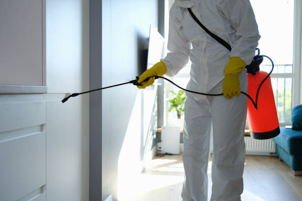 Best Certified Mold Removal  in Spanish Lake, MO