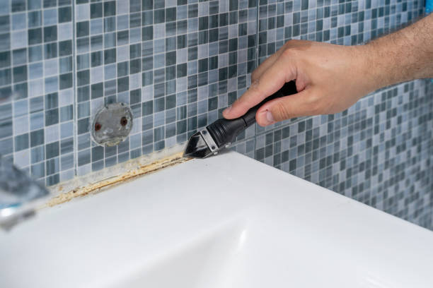 Office Mold Removal Services in Spanish Lake, MO