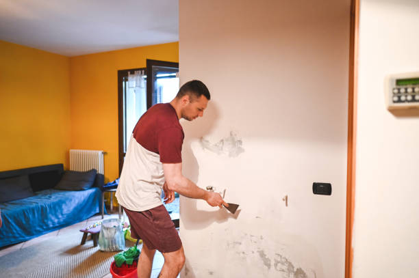 Best Best Mold Removal Companies  in Spanish Lake, MO